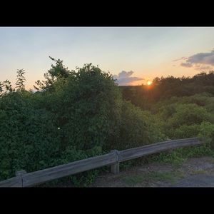 Meet your Posher, Cydney